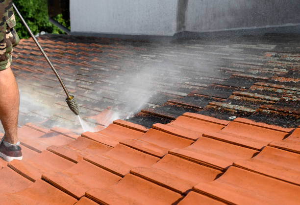 Best Best Pressure Washing Companies  in Dupont, PA