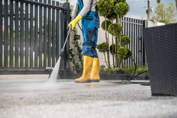 Best Affordable Power Washing  in Dupont, PA