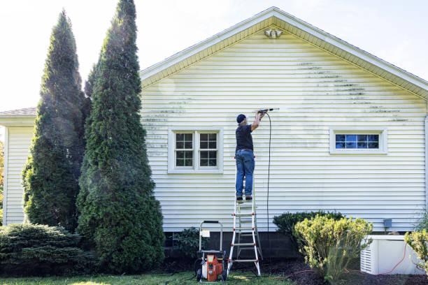 Best Pressure Washing Company Near Me  in Dupont, PA