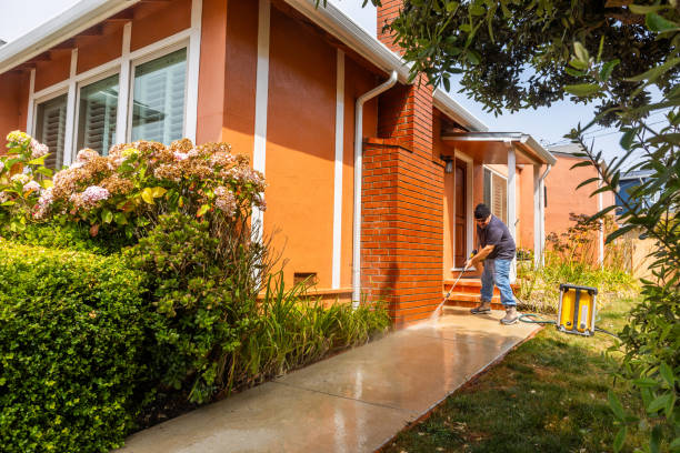 Best Deck Cleaning Services  in Dupont, PA