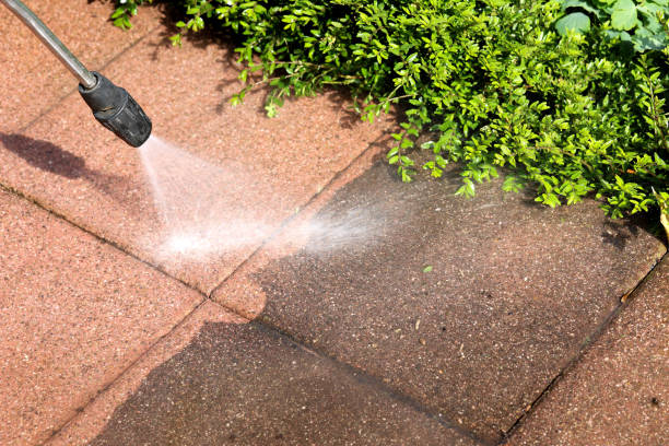 Best House Pressure Washing  in Dupont, PA